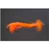 Mouche Spécial Carnassier Tof Articulee Steelhead - Orange - N°4 - Orange