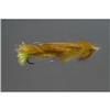 Mouche Spécial Carnassier Tof Articulee Steelhead - Olive - N°6 - Olive