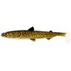 Leurre Souple Westin Hypo Teez - 11.5Cm - Par 2 - Natural Pike