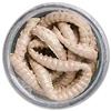 Appat Berkley Powerbait Honey Worm - Par 55 - Natural/Scales
