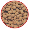 Dumbell Match Pro Top Dumbells - Noix Tigrées