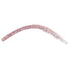 Leurre Souple Reins Swamp Eel Junior 6.5 - 16.5Cm - North Lake Phase 2
