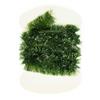Chenille Fly Scene Super Blob Chenille - Olive Foncé