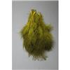 Marabou Fly Scene 12 Loose Feathers - Olive