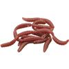 Leurre Souple Prime Linked Worms - 2.5Cm - Par 32 - Ox Blood