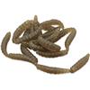 Soft Lure Prime Linked Worms Black Logo - Pack Of 32 - P1178