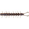 Zacht Kunstaas Westin Centipede Creaturebait - 9.5Cm - Partij Van 4 - P305-1431-291