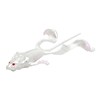 Leurre Souple Savage Gear Mutant Rat - 30Cm - Pink Pearl