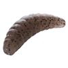 Weicher Köder Mikado M-Area Maggot - 3.4Cm - 16Er Pack - Pmma-34-Pe