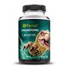 Booster Fencl Booster - Prehistoric