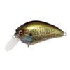 Leurre Flottant Megabass Ixi Blowly - 4.9Cm - Pumpkin Seed