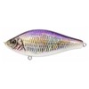 Leurre Coulant Dranckrazy Kenbu - 11Cm - Rainbow Smelt