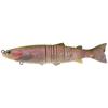 Leurre Souple Armé Biwaa S'trout Soft - 20Cm - Rainbow