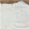 Rabbit Strip Tof Himalayan - Rbt9 - Blanc