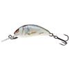 Leurre Coulant Salmo Hornet Sinking - 2.5Cm - Real Dace