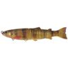 Leurre Souple Armé Biwaa S'trout Soft - 20Cm - Real Perch