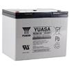 Wasserdicht-Batterie Yuasa 12V - Rec80-12I