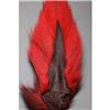 Bucktail Fly Scene Prime Large - Red