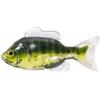 Weicher Köder Live Target Unrigged Sunfish 4,3 - 11Cm - 2Er Pack - Sfu110sk1051