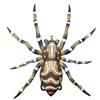 Leurre Souple Lunker Hunt Phanton Spider - 5Cm - Spider02