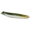 Leurre De Surface Jackson Debu Nyoro 60 - 6Cm - Sss