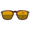 Polarized Sunglasses Fortis Strokes - St003