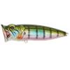 Surface Lure Strike Pro Perch Pop Jr - 4Cm - St.Pep40.630V