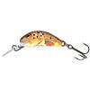 Leurre Coulant Salmo Hornet Sinking - 2.5Cm - Trout