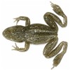 Leurre Souple Dranckrazy Whipper - 5Cm - Par 2 - Weed Chameleon