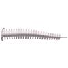 Leurre Souple Berkley Gulp! Saltwater Sandworm - 5Cm - Par 24 - White