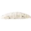 Leurre Souple Westin Maggot Banana - 4.8Cm - Par 8 - White