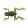 Esca Artificiale Morbida Tiemco Wild Frog - 3.2Cm - Pacchetto Di 3 - Wildfrog-027