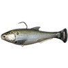 Soft Lure With Hook Zman Shadtron Lt Slow Sink - 15.2Cm - Zmstlts6-08