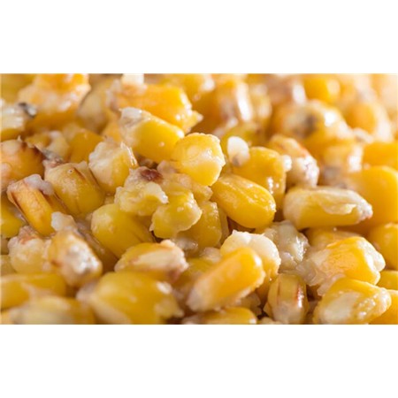 MAÏS MIVARDI CORN