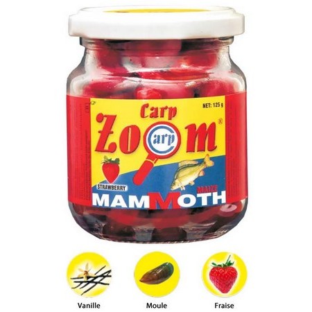 Maíz Carp Zoom Mammoth