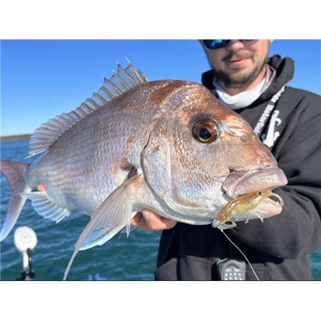 ΜΑΛΑΚΌ ΤΕΧΝΗΤΌ ΔΌΛΩΜΑ CHASEBAITS CURLY PRAWN 90 - 9ΕΚ - PAKETO 4