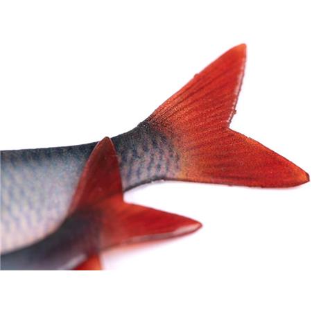 ΜΑΛΑΚΌ ΤΕΧΝΗΤΌ ΔΌΛΩΜΑ FOX RAGE ULTRA NATURAL ROACH FILLET