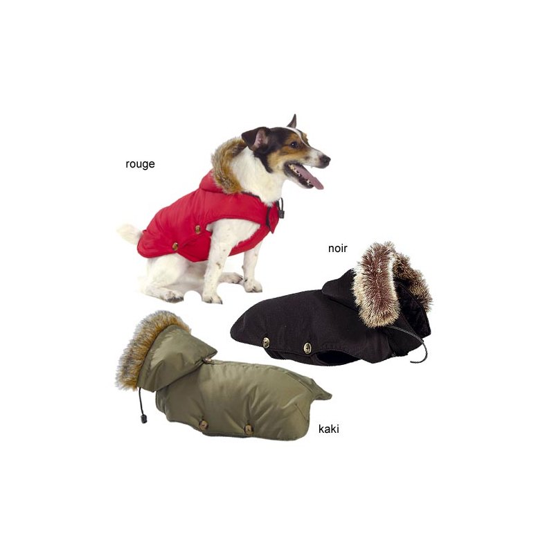 petit manteau pour chien