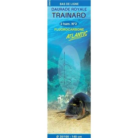 Meeresvorfach Flashmer Daurade Royale Trainard Atlantic