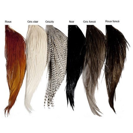 Meio Cou Jmc Whiting Farms Hebert