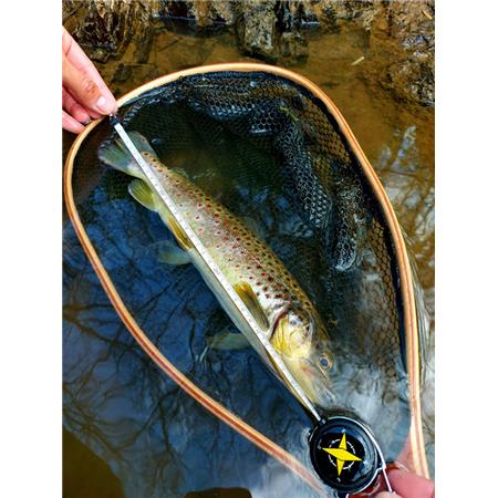 METRO DESPLEGABLE FISHXPLORER