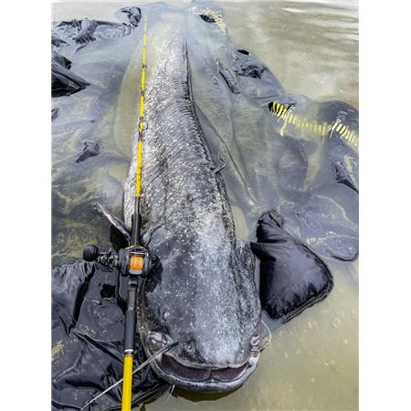 MOLINETE CASTING BLACK CAT CAST 301 LH