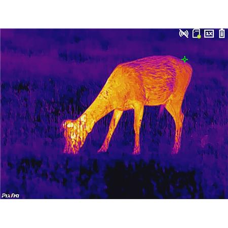 MONOCULAR THERMAL VISION PIXFRA SÉRIE RANGER NOIR