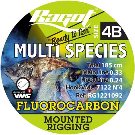 Montage Tout Venant Ragot Multi Species Rig