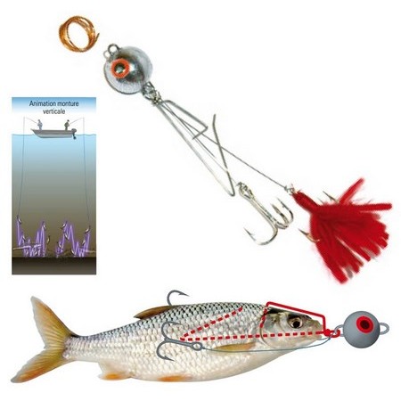 Montagens Technipêche Avanços Rígidos