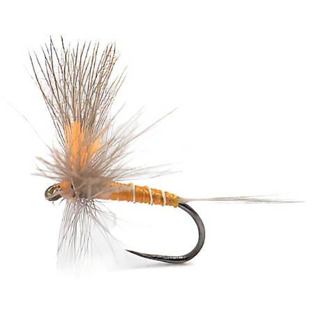 Mosca Devaux Emergente Jbe81 - Pack De 3