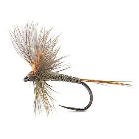 Mosca Devaux Emergente Jbe83 - Pack De 3