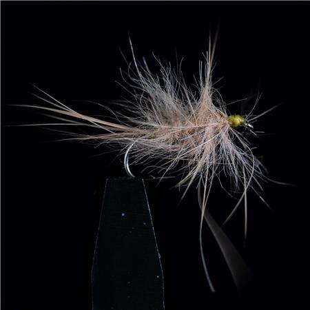 Mosca Jmc Emergentes Jmc 63 - Pack De 3