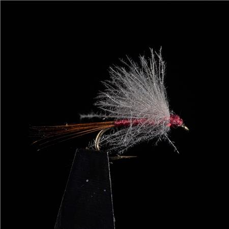 Mosca Jmc Emergentes Charnoz - Pack De 3