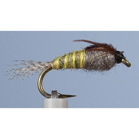 Mosca Jmc Ninfa Bm 14